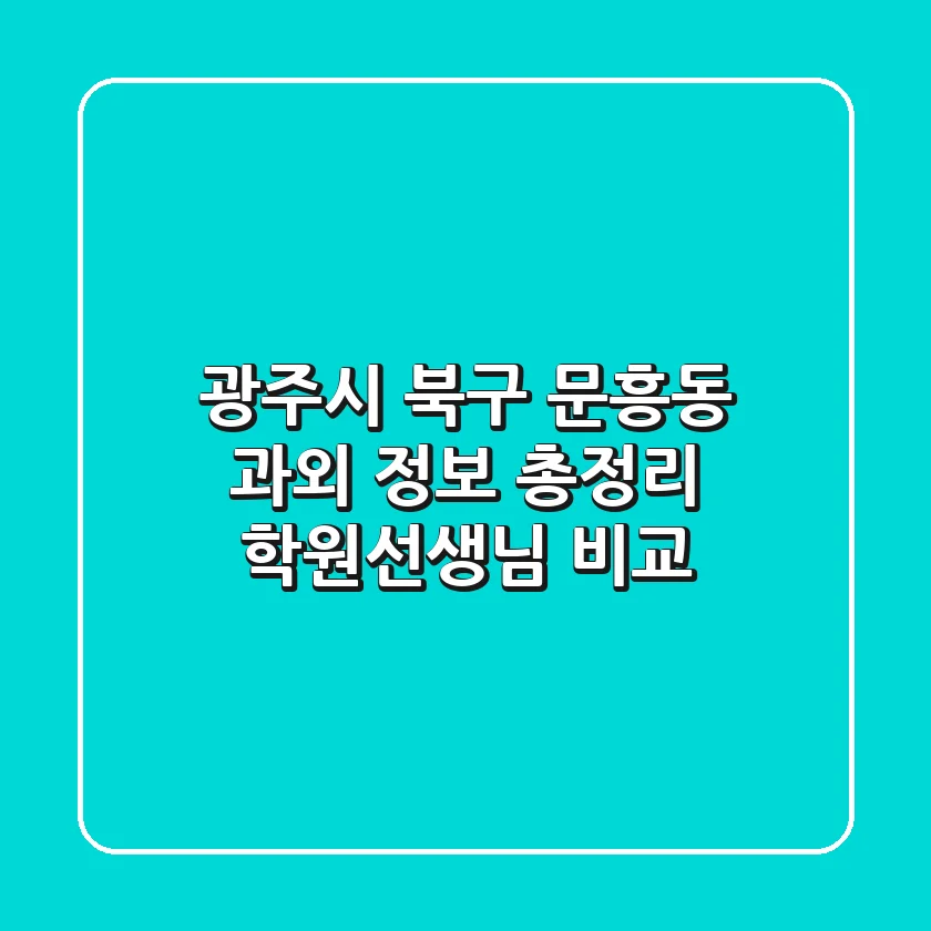 광주시 북구 문흥동 과외 정보 총정리 - 학원/선생님 비교