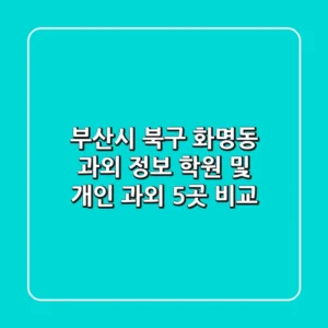 부산시 북구 화명동 과외 정보: 학원 및 개인 과외 5곳 비교