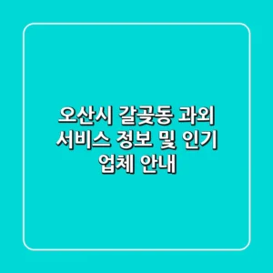 오산시 갈곶동 과외 서비스 정보 및 인기 업체 안내