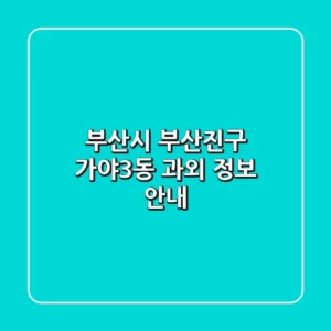 부산시 부산진구 가야3동 과외 정보 안내