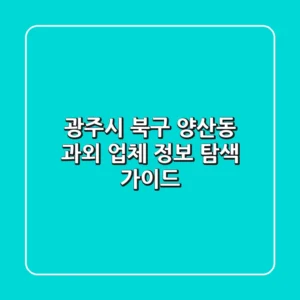 광주시 북구 양산동 과외 업체 정보 탐색 가이드