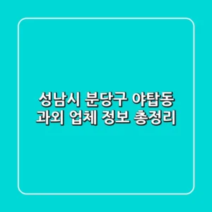 성남시 분당구 야탑동 과외 업체 정보 총정리