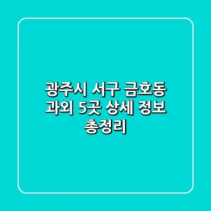 광주시 서구 금호동 과외 5곳 상세 정보 총정리