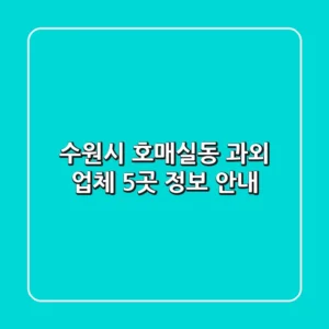 수원시 호매실동 과외 업체 5곳 정보 안내
