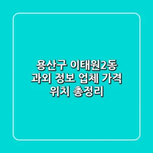 용산구 이태원2동 과외 정보 - 업체, 가격, 위치 총정리
