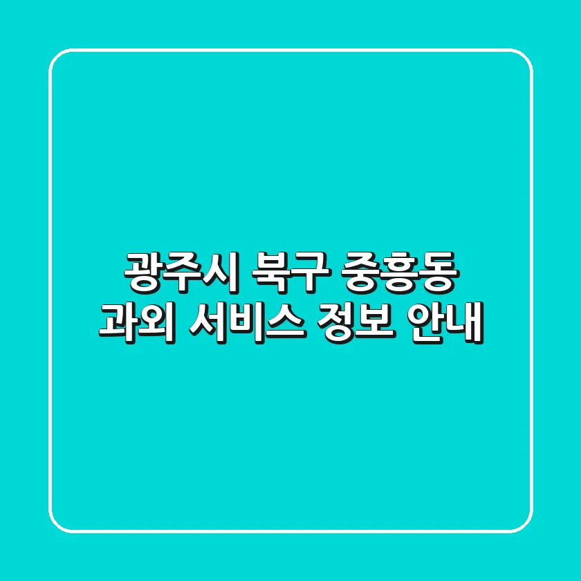 광주시 북구 중흥동 과외 서비스 정보 안내