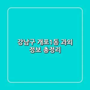 강남구 개포1동 과외 정보 총정리