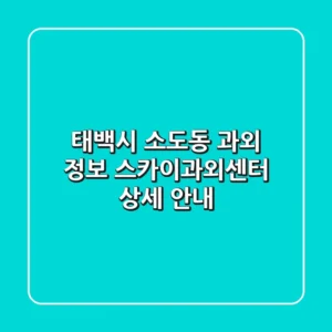 태백시 소도동 과외 정보: 스카이과외센터 상세 안내