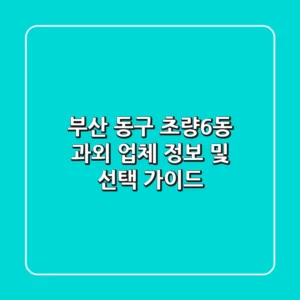 부산 동구 초량6동 과외 업체 정보 및 선택 가이드