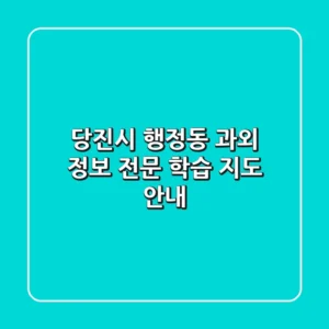 당진시 행정동 과외 정보 - 전문 학습 지도 안내