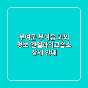 부여군 부여읍 과외 정보: 엔젤과외교습소 상세 안내