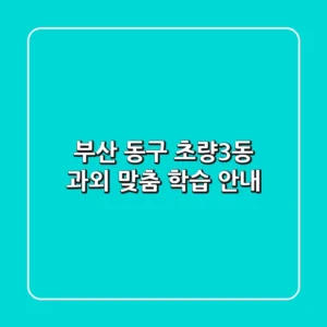 부산 동구 초량3동 과외: 맞춤 학습 안내