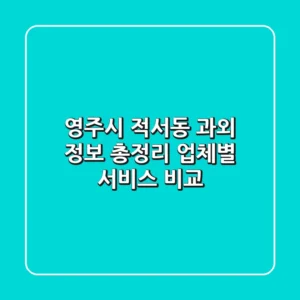 영주시 적서동 과외 정보 총정리 - 업체별 서비스 비교