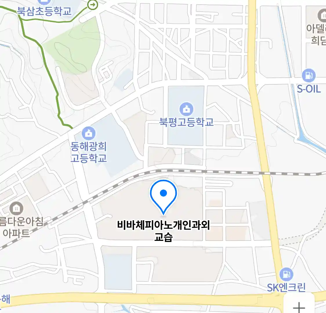 비바체피아노개인과외교습 위치