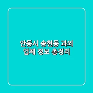 안동시 송현동 과외 업체 정보 총정리