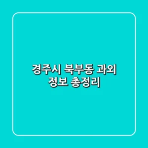 경주시 북부동 과외 정보 총정리