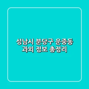 성남시 분당구 운중동 과외 정보 총정리