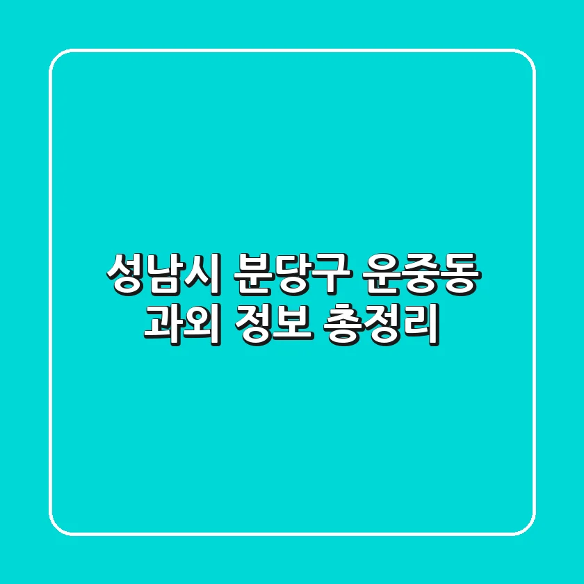 성남시 분당구 운중동 과외 정보 총정리