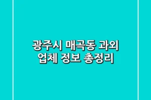 광주시 매곡동 과외 업체 정보 총정리