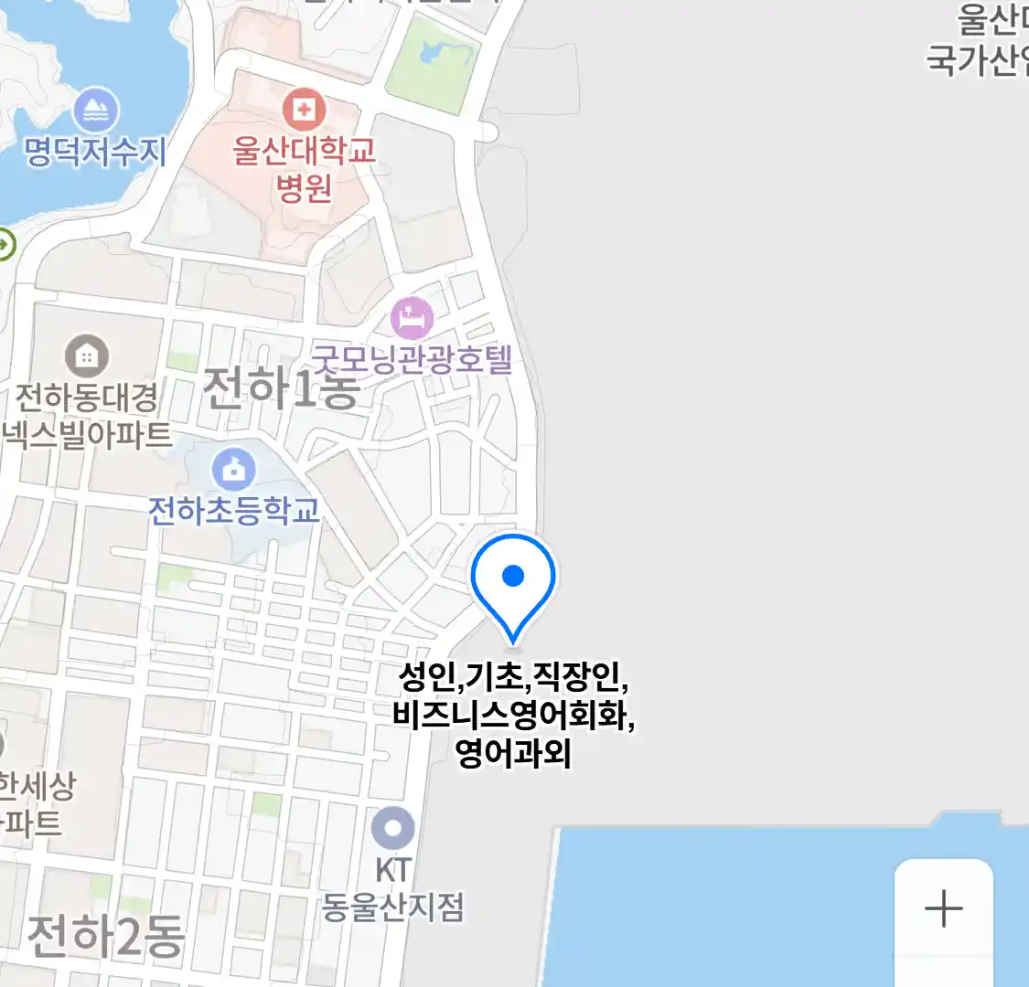 성인,기초,직장인,비즈니스영어회화,영어과외 위치