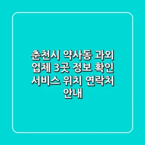 춘천시 약사동 과외 업체 3곳 정보 확인 - 서비스, 위치, 연락처 안내