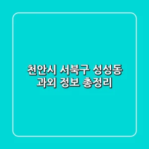 천안시 서북구 성성동 과외 정보 총정리