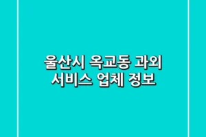 울산시 옥교동 과외 서비스 업체 정보