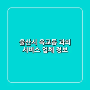 울산시 옥교동 과외 서비스 업체 정보