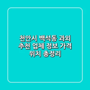 천안시 백석동 과외: 추천 업체 정보, 가격, 위치 총정리