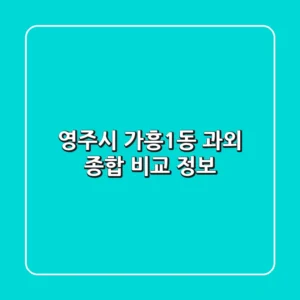 영주시 가흥1동 과외: 종합 비교 정보