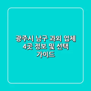 광주시 남구 과외 업체 4곳 정보 및 선택 가이드