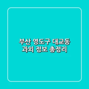 부산 영도구 대교동 과외 정보 총정리
