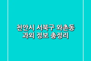 천안시 서북구 와촌동 과외 정보 총정리