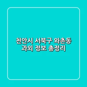 천안시 서북구 와촌동 과외 정보 총정리