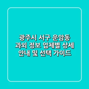 광주시 서구 운암동 과외 정보: 업체별 상세 안내 및 선택 가이드