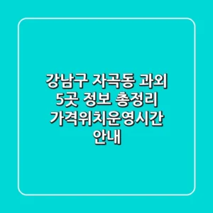 강남구 자곡동 과외 5곳 정보 총정리 - 가격/위치/운영시간 안내