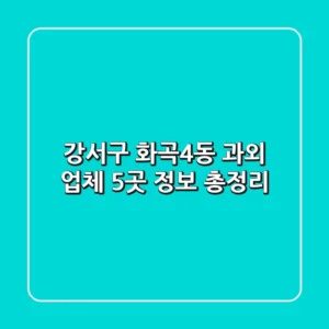 강서구 화곡4동 과외 업체 5곳 정보 총정리