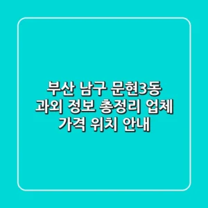 부산 남구 문현3동 과외 정보 총정리 - 업체, 가격, 위치 안내