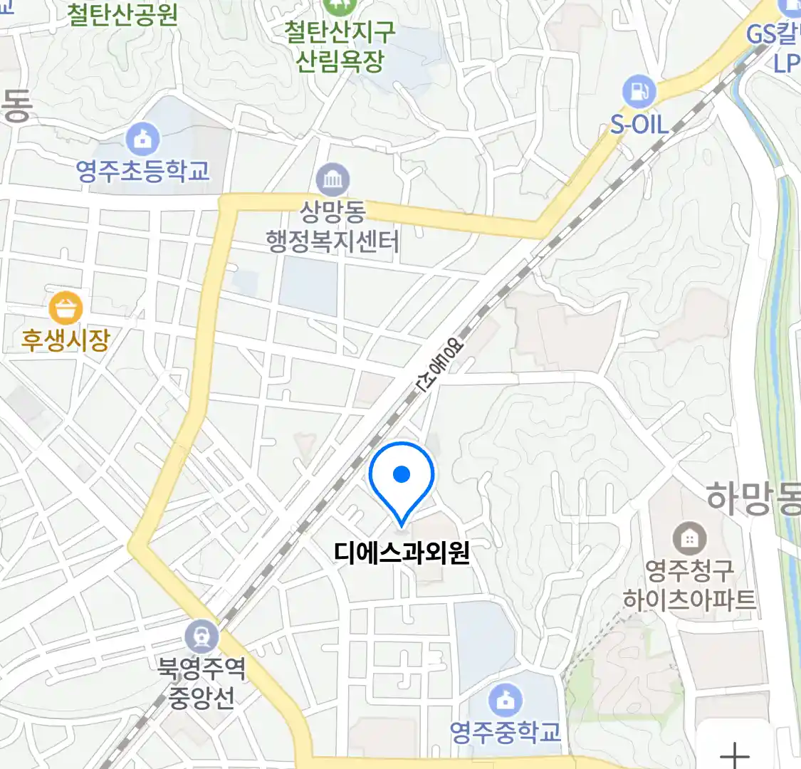 디에스과외원 위치