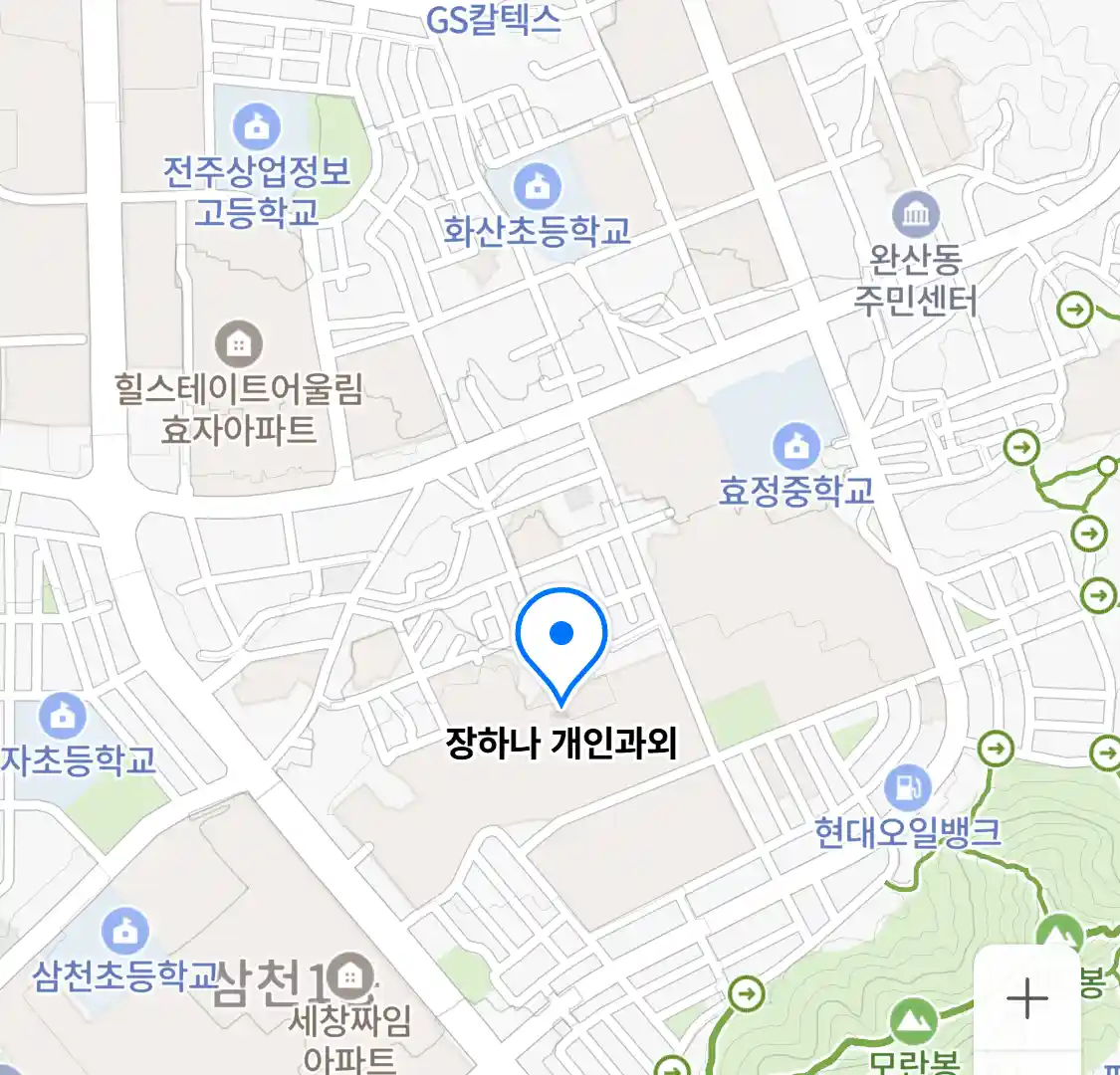 장하나 개인과외 위치