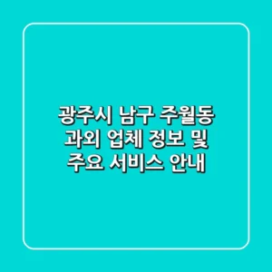 광주시 남구 주월동 과외 업체 정보 및 주요 서비스 안내