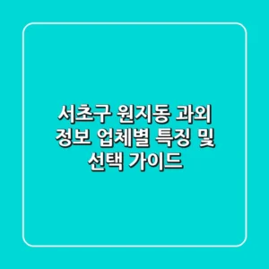 서초구 원지동 과외 정보: 업체별 특징 및 선택 가이드