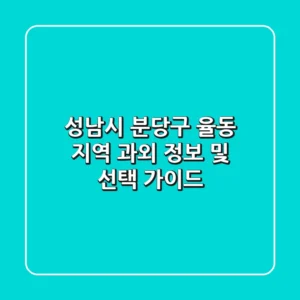 성남시 분당구 율동 지역 과외 정보 및 선택 가이드
