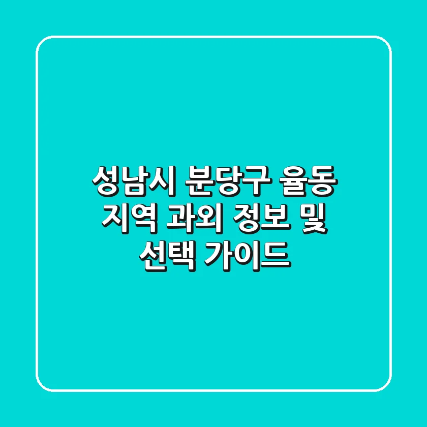 성남시 분당구 율동 지역 과외 정보 및 선택 가이드