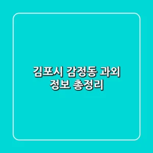 김포시 감정동 과외 정보 총정리
